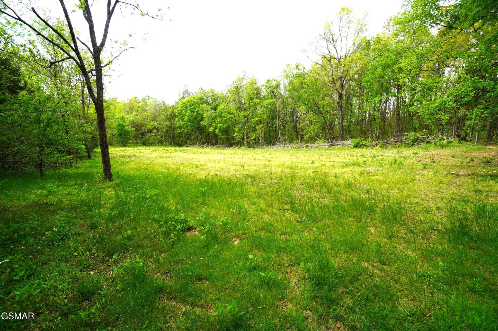 19 Pleasant View Cemetery Road New Market, TN 37820 - Photo 3 of 26 Gallery Image 3