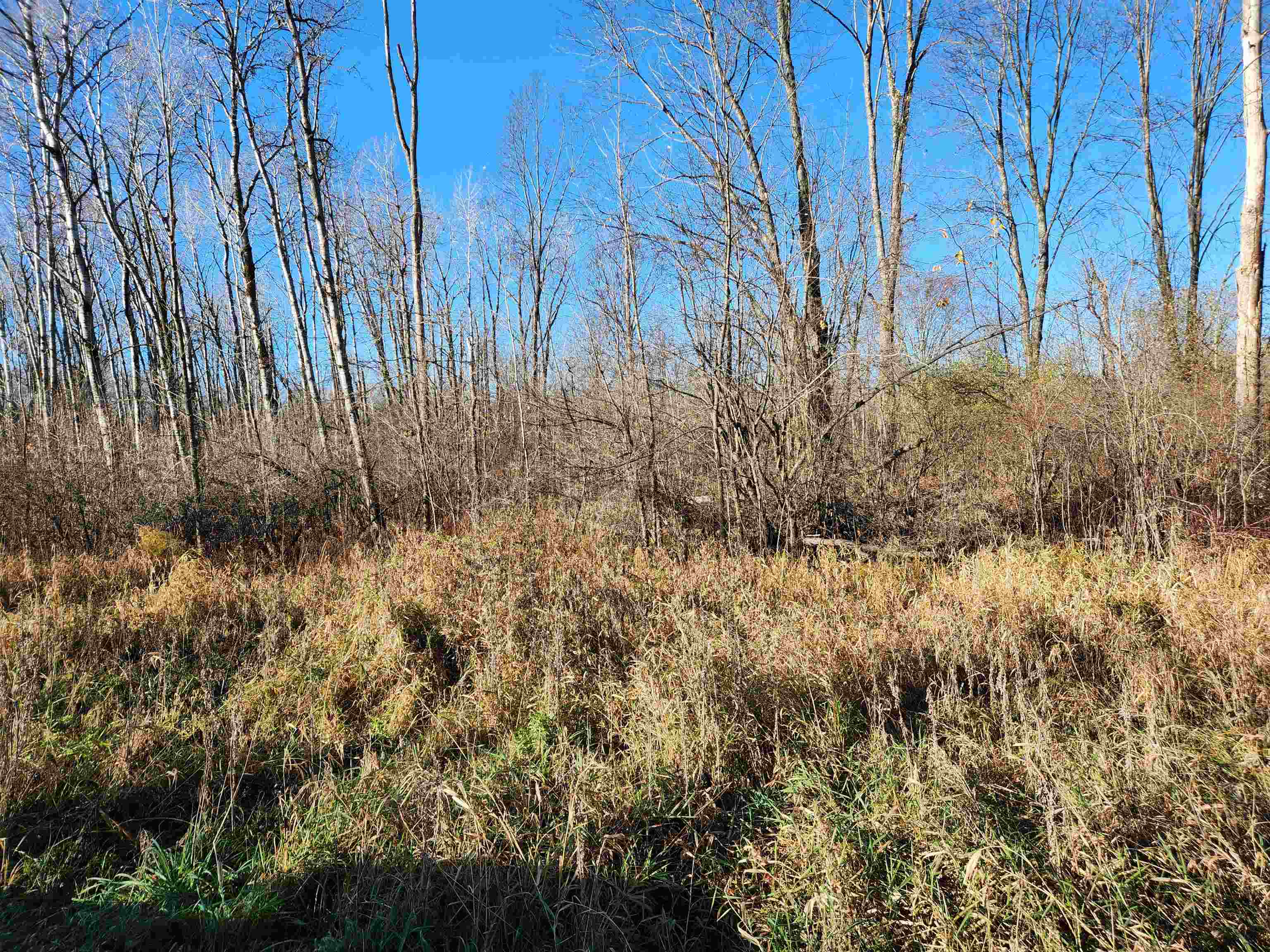 N/a South Crawford Road Omer, MI 48749 - Photo 3 of 8
