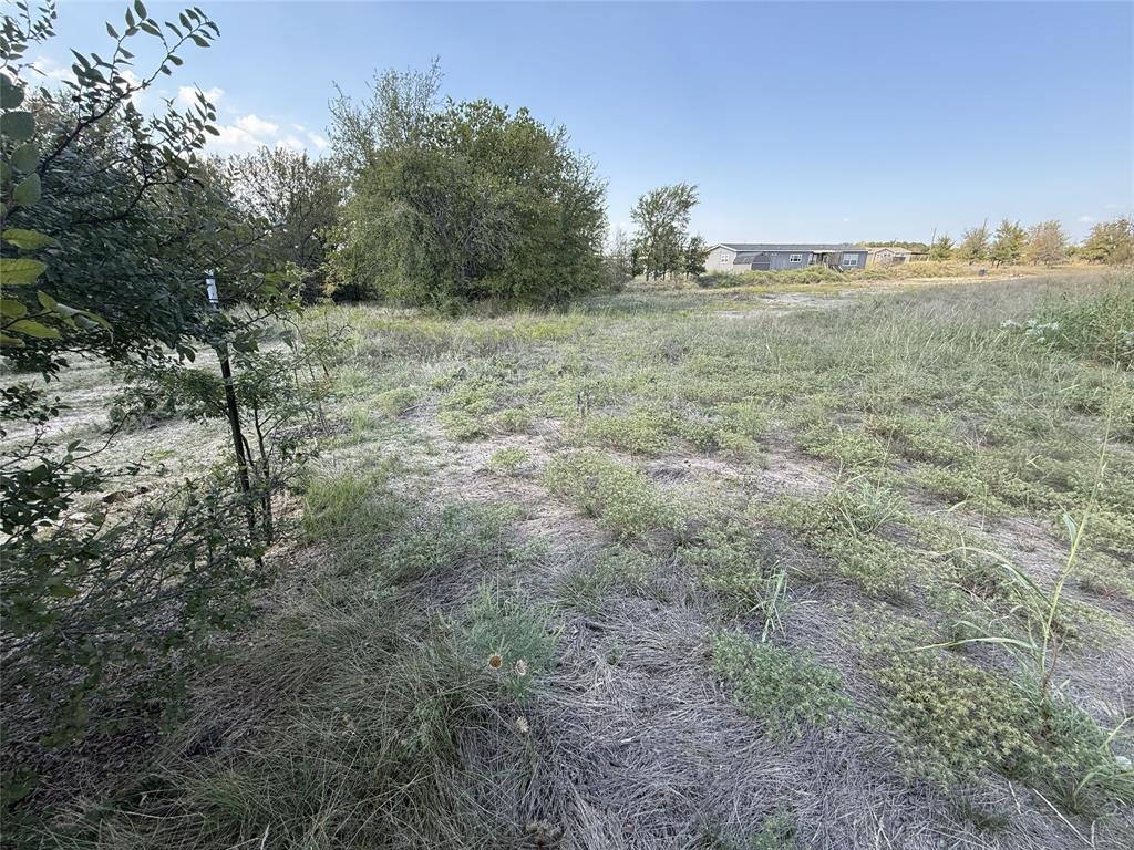 Tbd Joseph Drive Decatur, TX 76234 - Photo 4 of 9