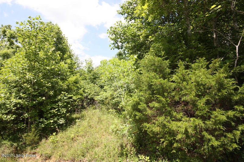 289 Hooper Barton Road Leitchfield, KY 42754 - Photo 2 of 29 Image1hopper barton rd