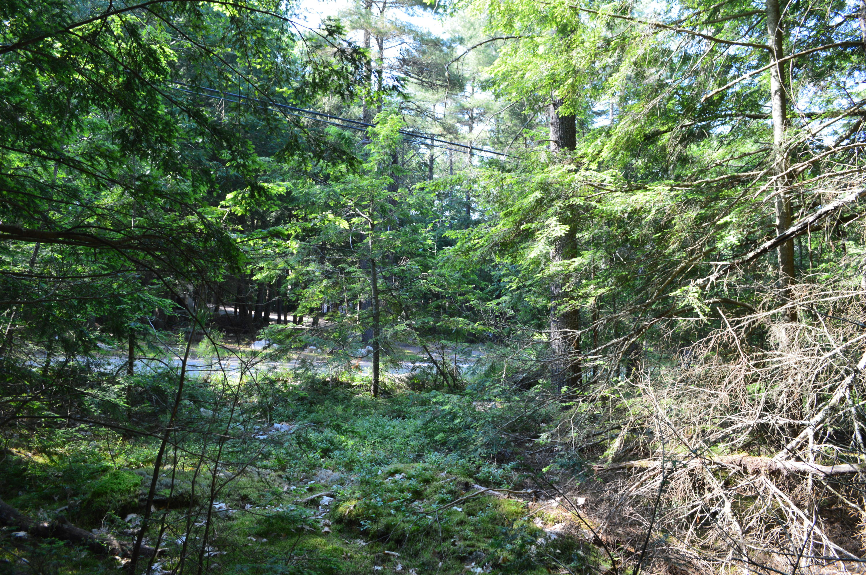 0 Johnson Road Windham, ME 04062 - Photo 19 of 24 .
