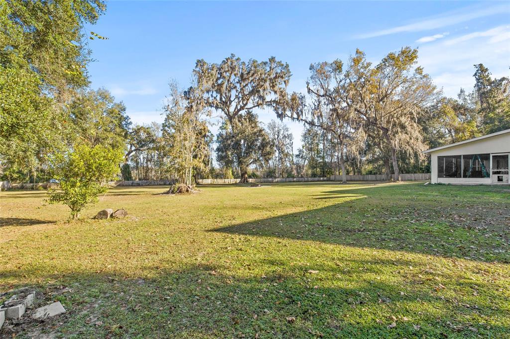 31445 Amberlea Road Dade City, FL 33523 - Photo 12 of 52