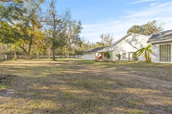 a view of dirt yard with large trees