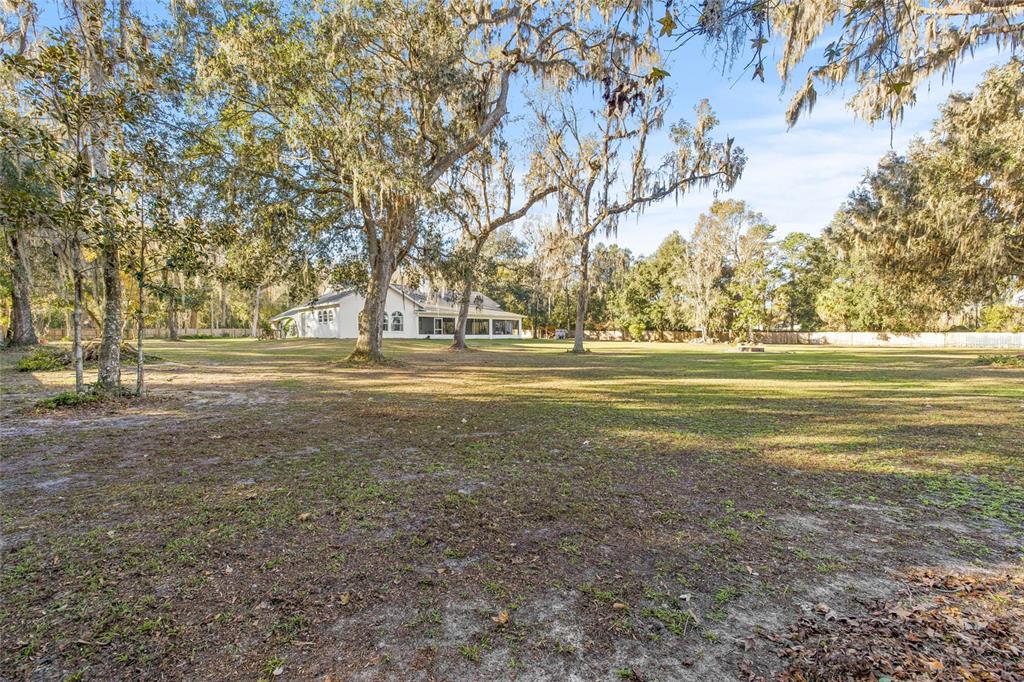 31445 Amberlea Road Dade City, FL 33523 - Photo 18 of 52