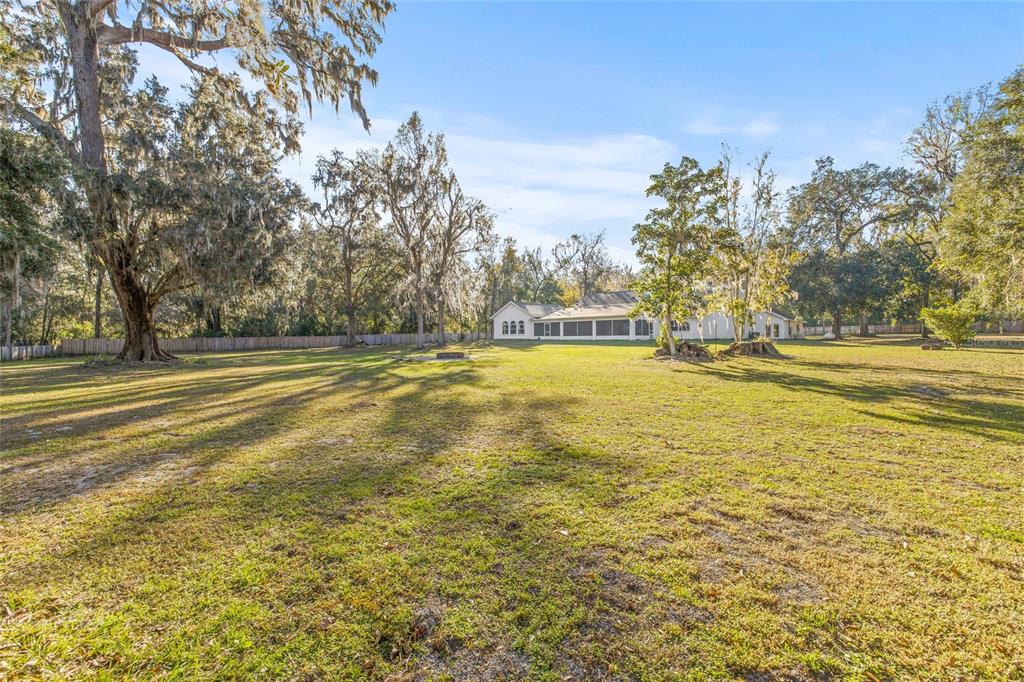 31445 Amberlea Road Dade City, FL 33523 - Photo 19 of 52