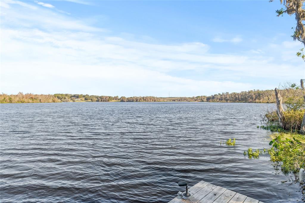 31445 Amberlea Road Dade City, FL 33523 - Photo 22 of 52