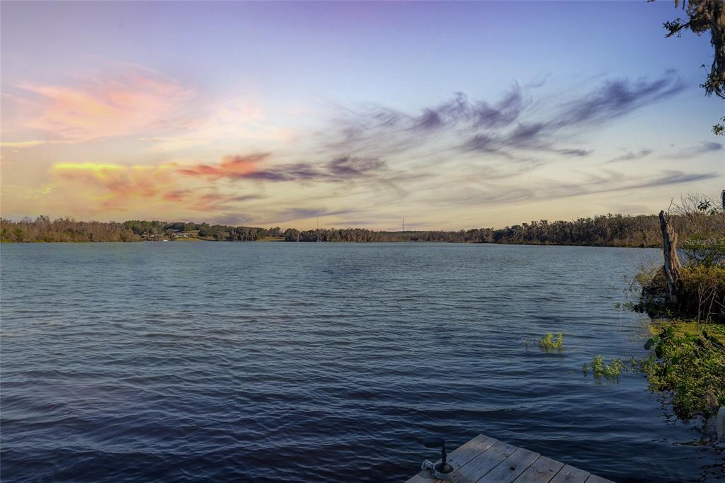 31445 Amberlea Road Dade City, FL 33523 - Photo 23 of 52