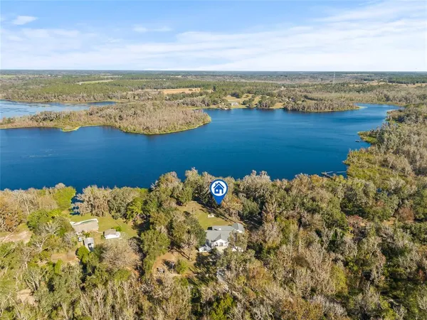 a view of room with walk in closet and wooden floor