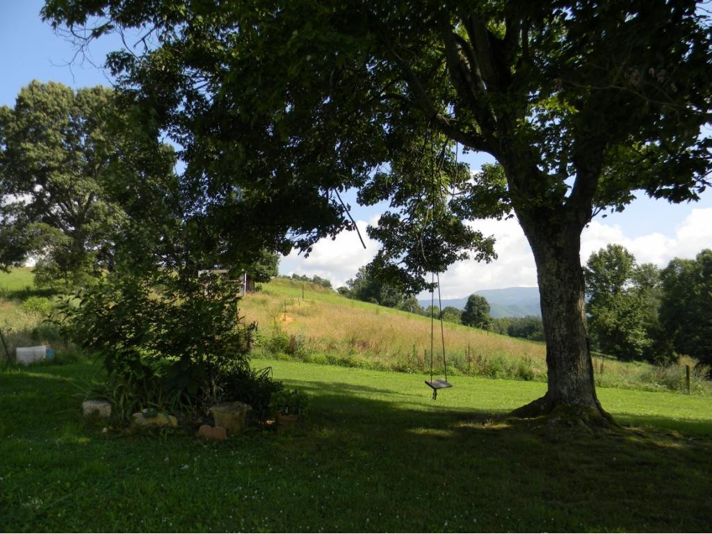 243 Donald Broyles Road Chuckey, TN 37641 - Photo 10 of 30 Photo 10
