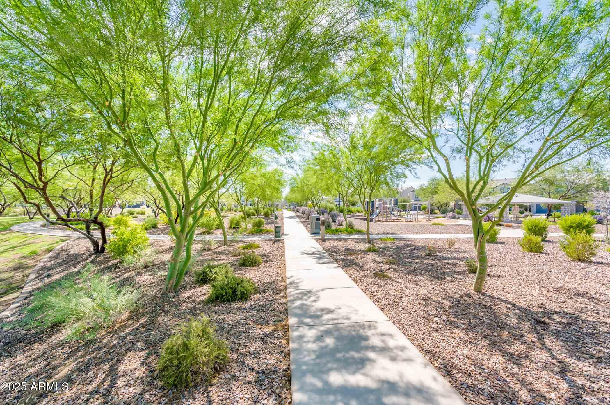 17146 North 50th Street Scottsdale, AZ 85254 - Photo 15 of 51 a park view with large trees