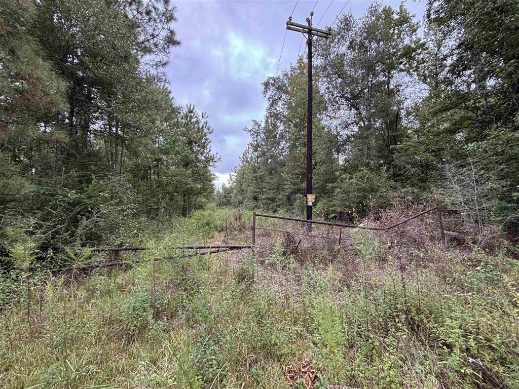 0 Kernan Road Ragley, LA 70657 - Photo 2 of 8