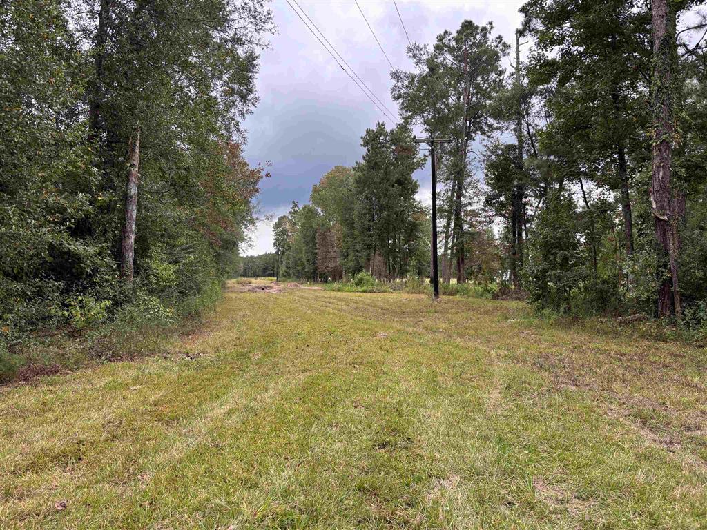 0 Kernan Road Ragley, LA 70657 - Photo 3 of 8