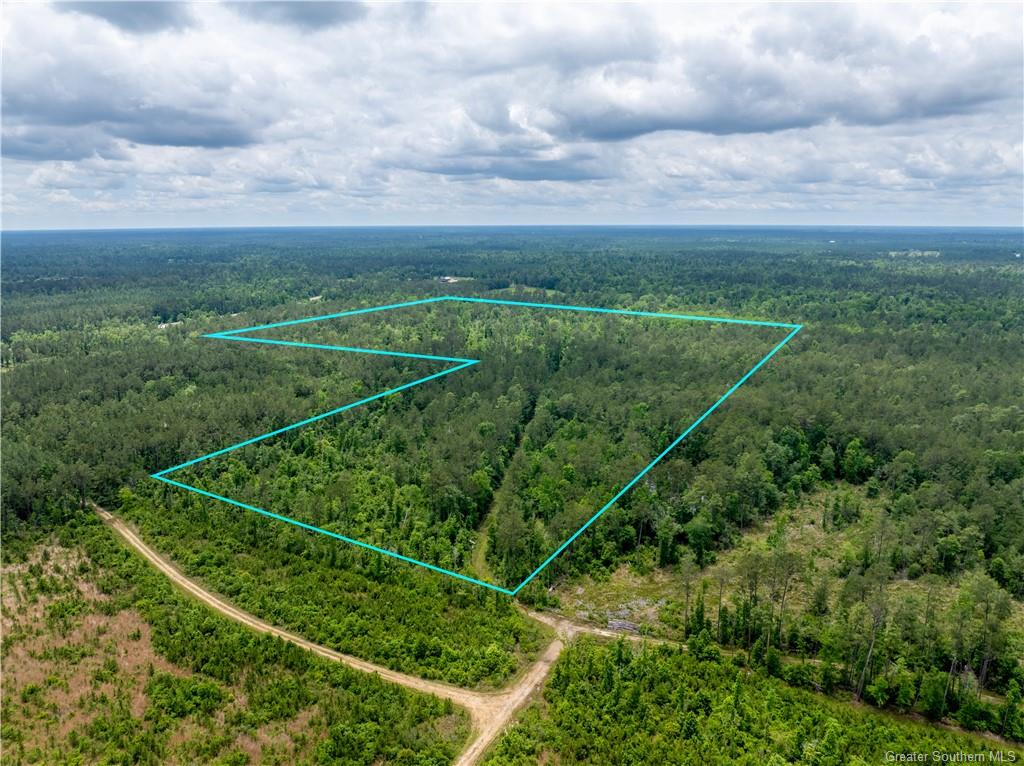 0 Kernan Road Ragley, LA 70657 - Photo 6 of 8