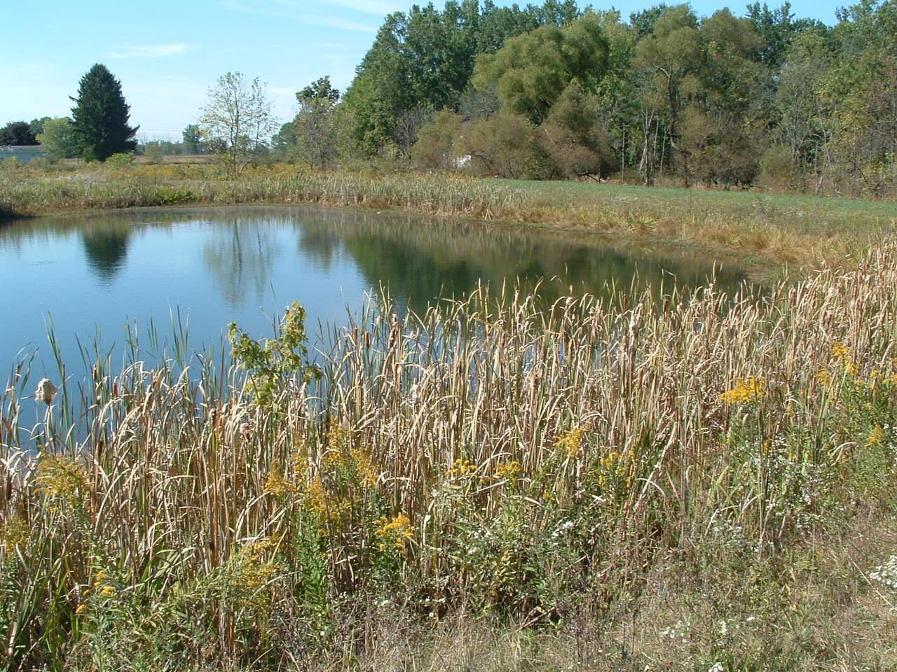 0 Nichols Lane Road Northwest Johnstown, OH 43031 - Photo 17 of 22 DSCF0015