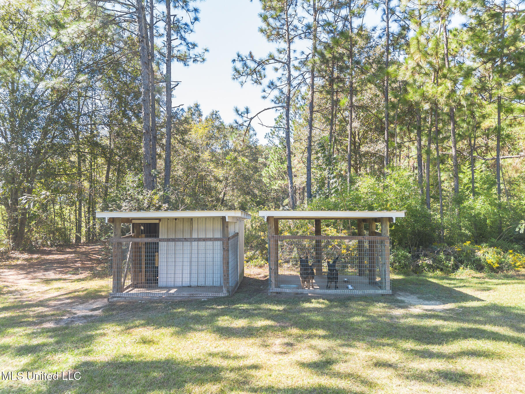 1049 A Carnes Road Wiggins, MS 39577 - Photo 28 of 29 Enclosures
