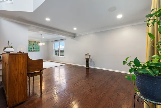 a view of a livingroom with a potted plant and wooden floor