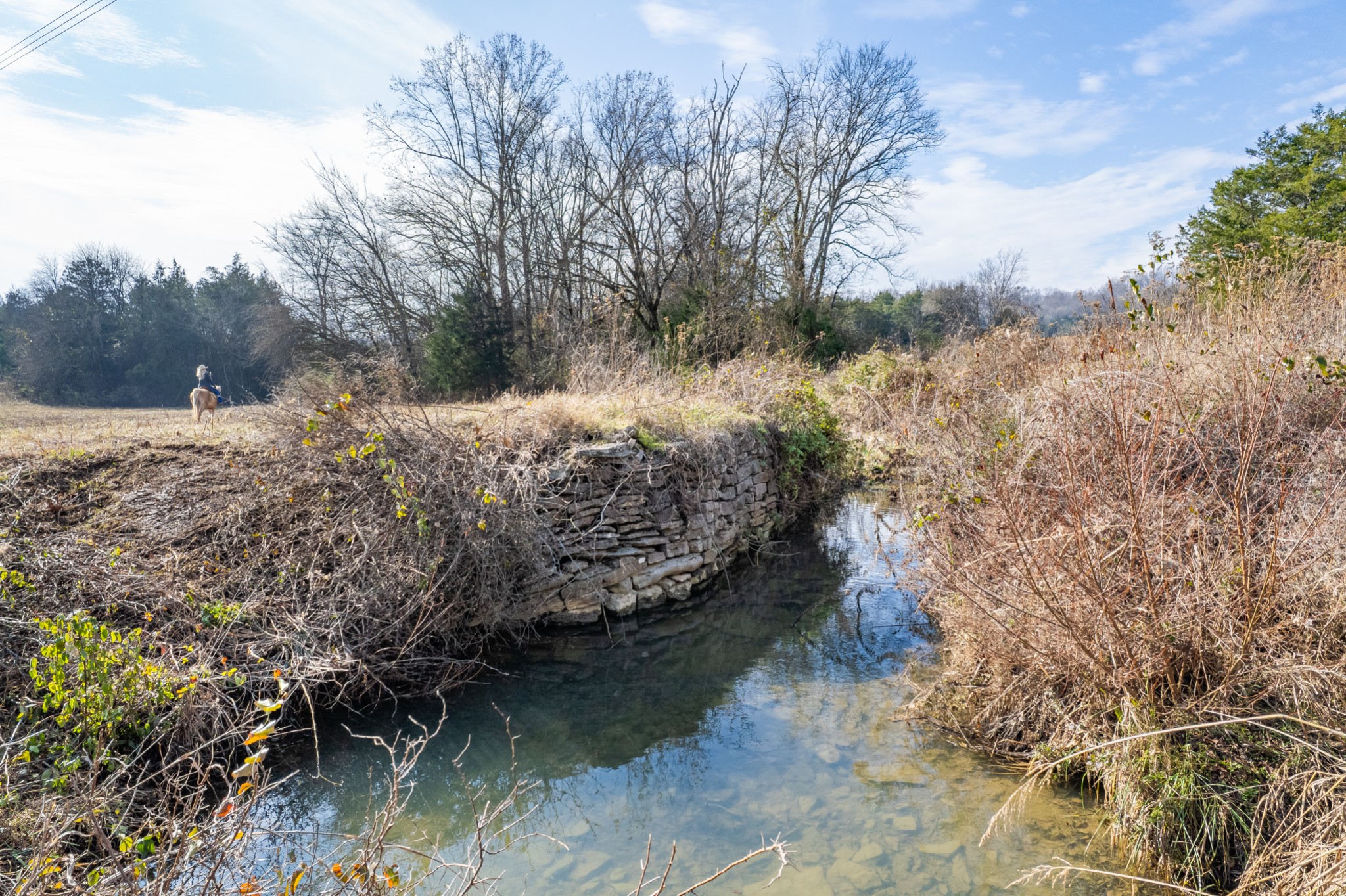 a view of a yard with wooden fence