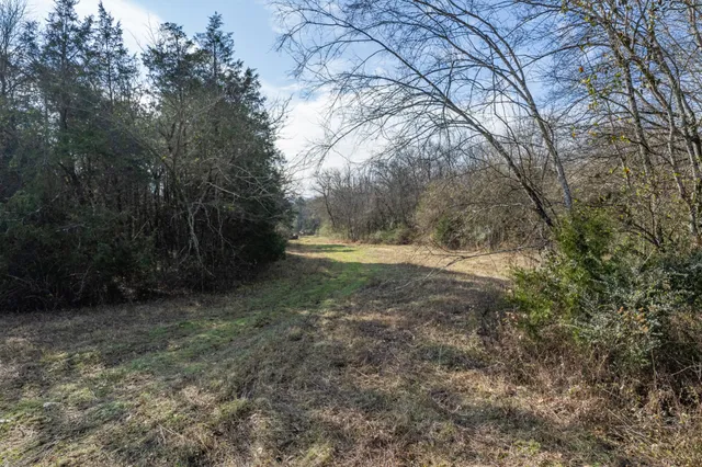 a view of outdoor space with trees
