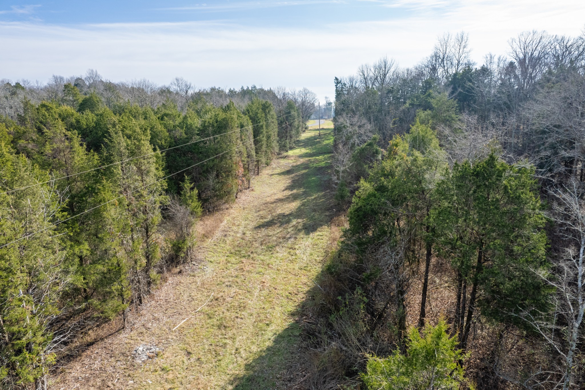 0 Pickle Road Culleoka, TN 38451 - Photo 5 of 12 a view of a yard with trees