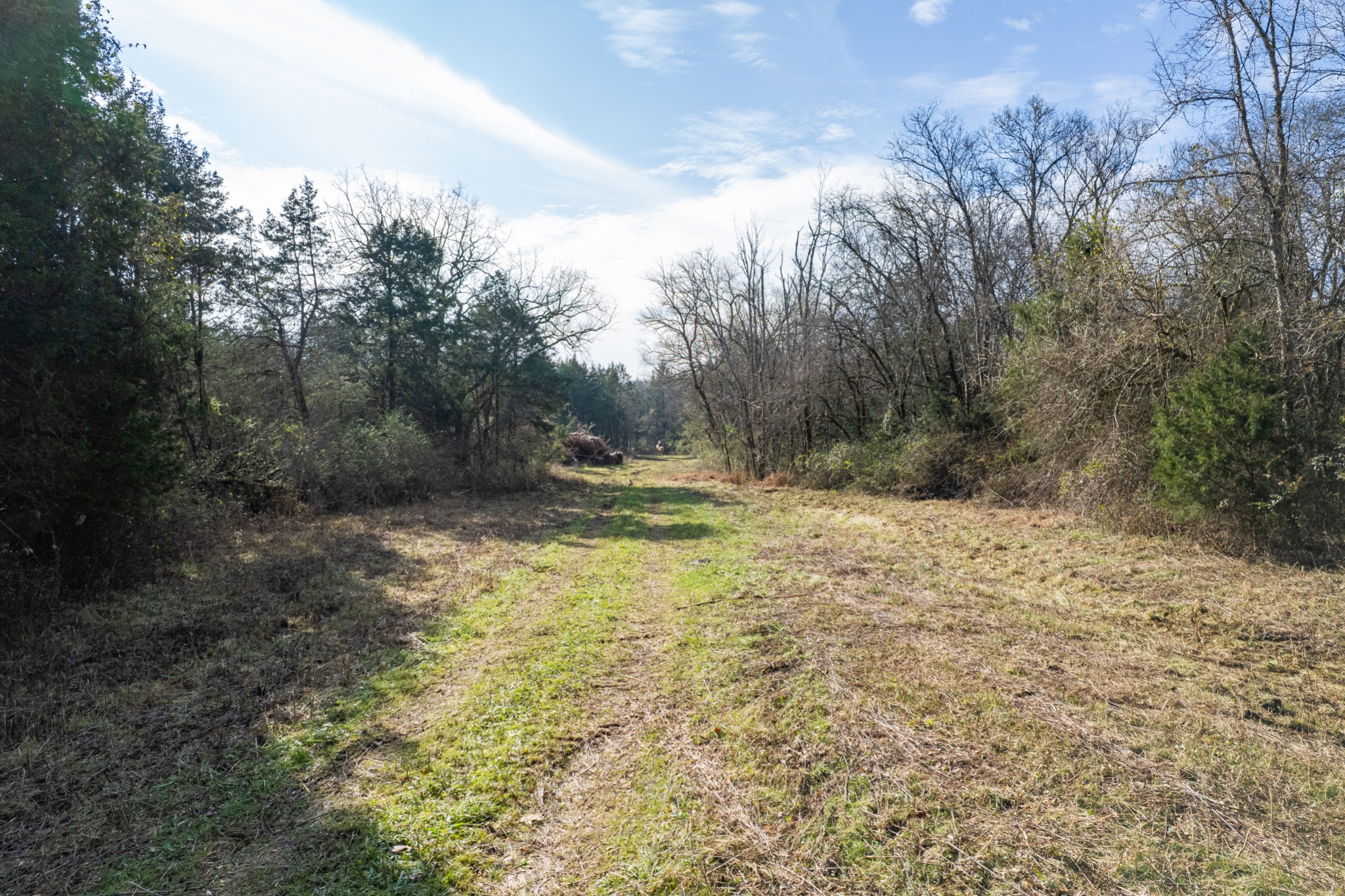 0 Pickle Road Culleoka, TN 38451 - Photo 6 of 12 a view of outdoor space with trees