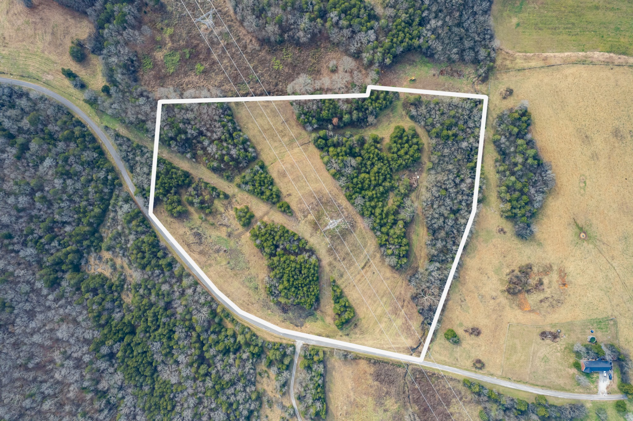 0 Pickle Road Culleoka, TN 38451 - Photo 7 of 12 a view of a yard