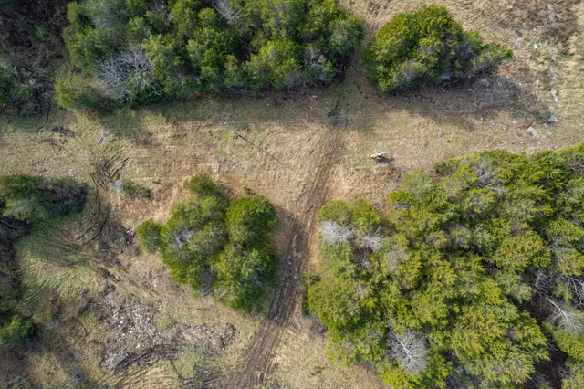 a view of a yard with plants and a bench
