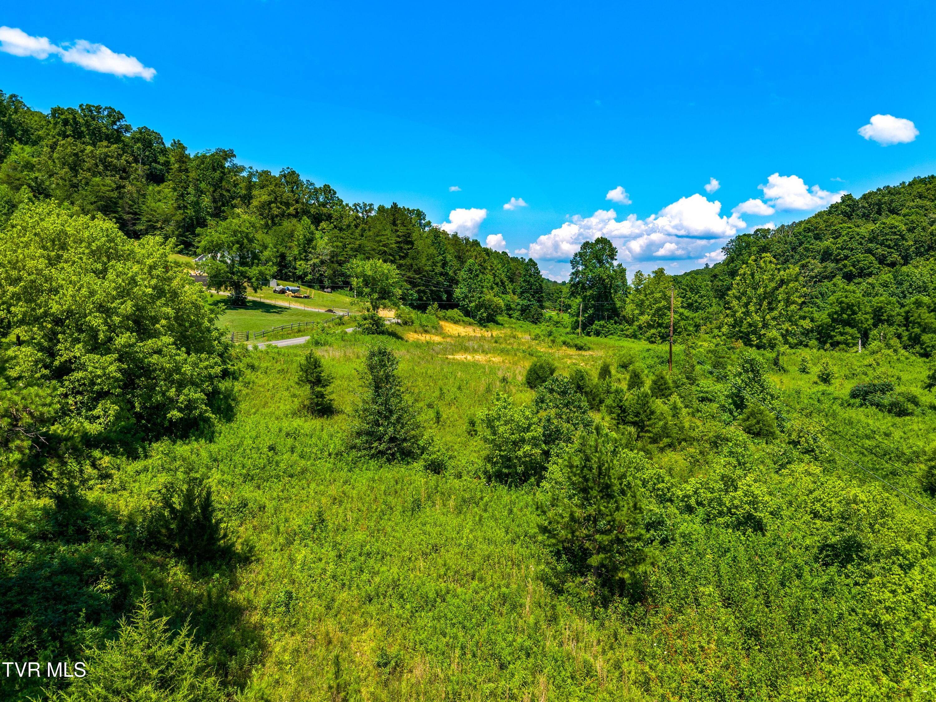 443 Butcher Valley Road Rogersville, TN 37857 - Photo 3 of 17 003-443ButcherValleyRoad-Rogersville-TN-