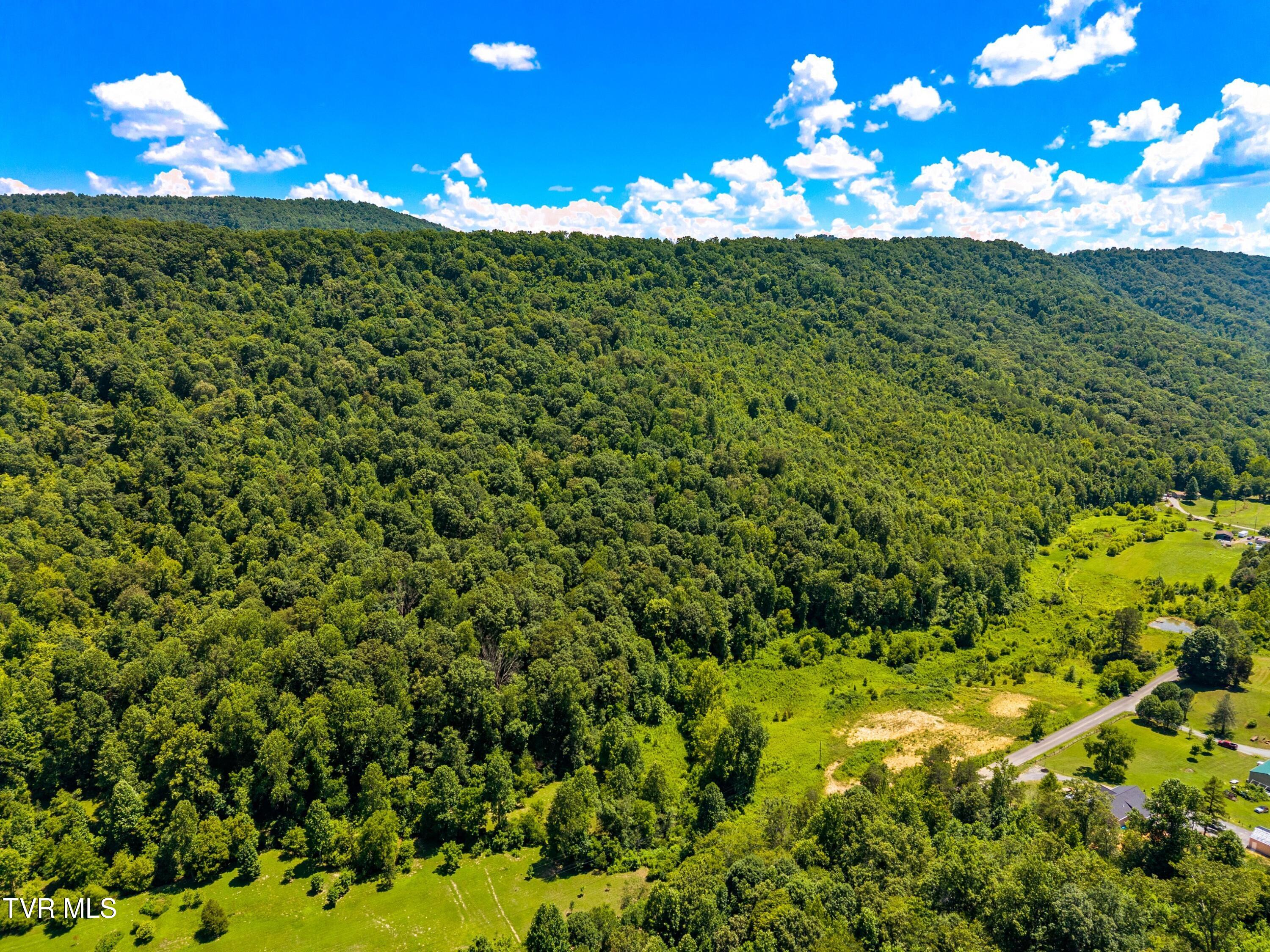 443 Butcher Valley Road Rogersville, TN 37857 - Photo 9 of 17 009-443ButcherValleyRoad-Rogersville-TN-