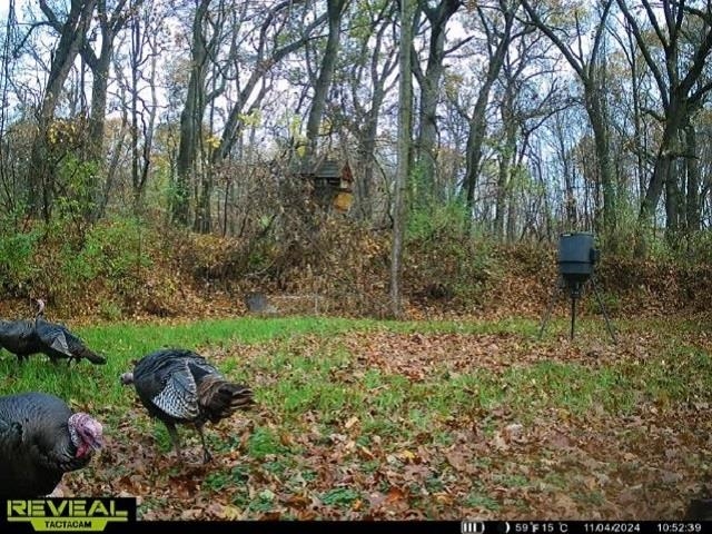 16400 Fish Lake Road Holly, MI 48442 - Photo 29 of 29 Gallery Image 29