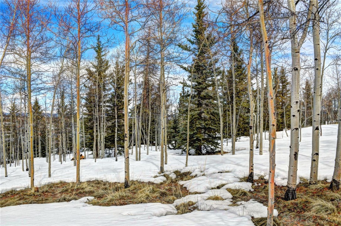 99 Mallard Road Como, CO 80432 - Photo 12 of 34 Gallery Image 12