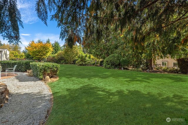 a view of a park with large trees