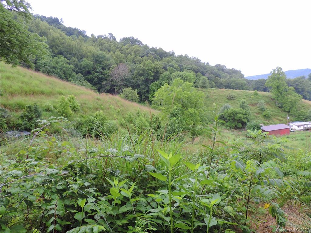 0 Morgan Branch Road Marshall, NC 28753 - Photo 2 of 10 Gallery Image 2