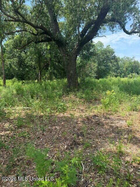 10028 East Bayou Road Bay St. Louis, MS 39520 - Photo 5 of 5 04