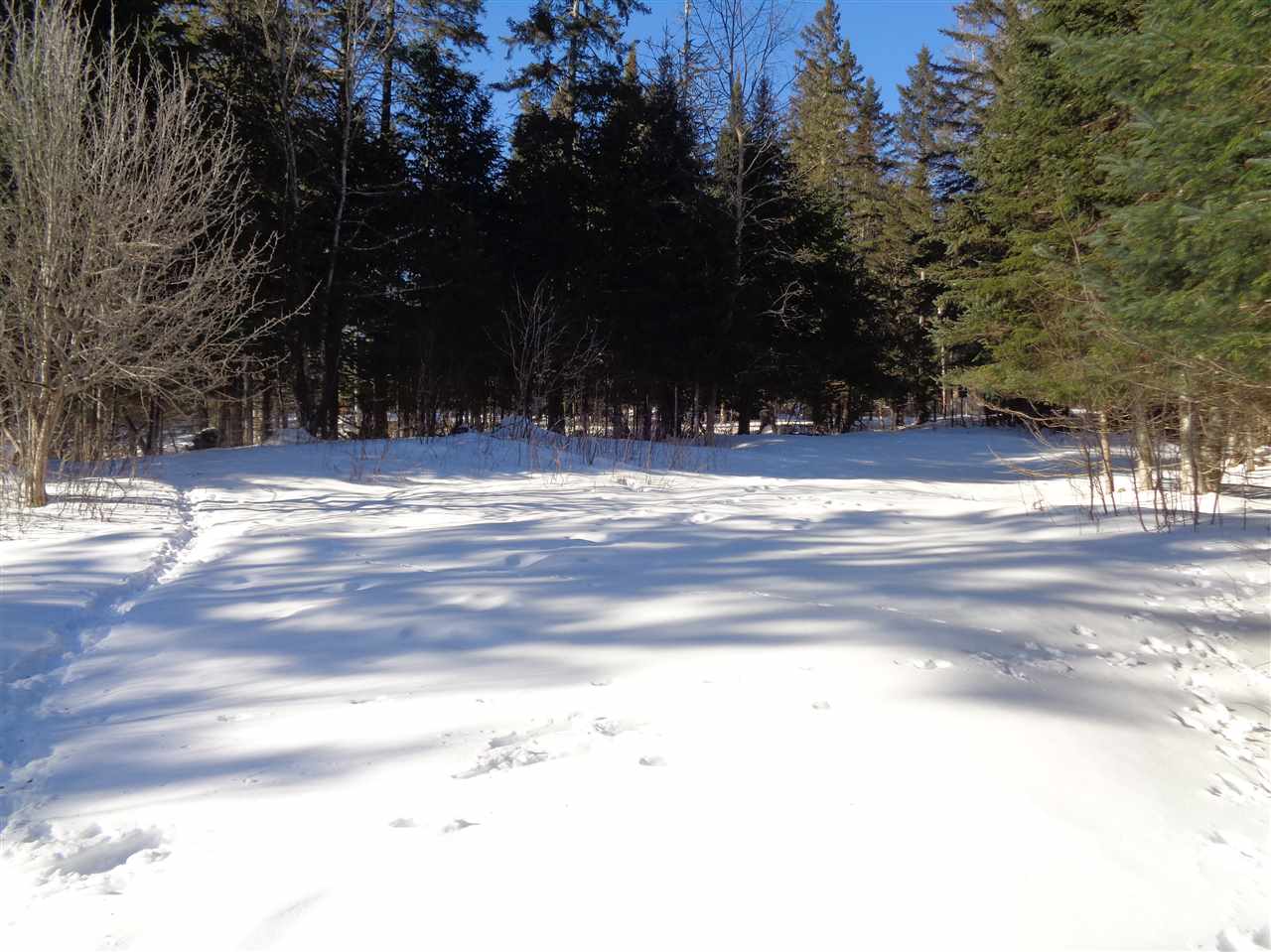 31 Joe Alger Road Pittsburg, NH 03592 - Photo 1 of 13