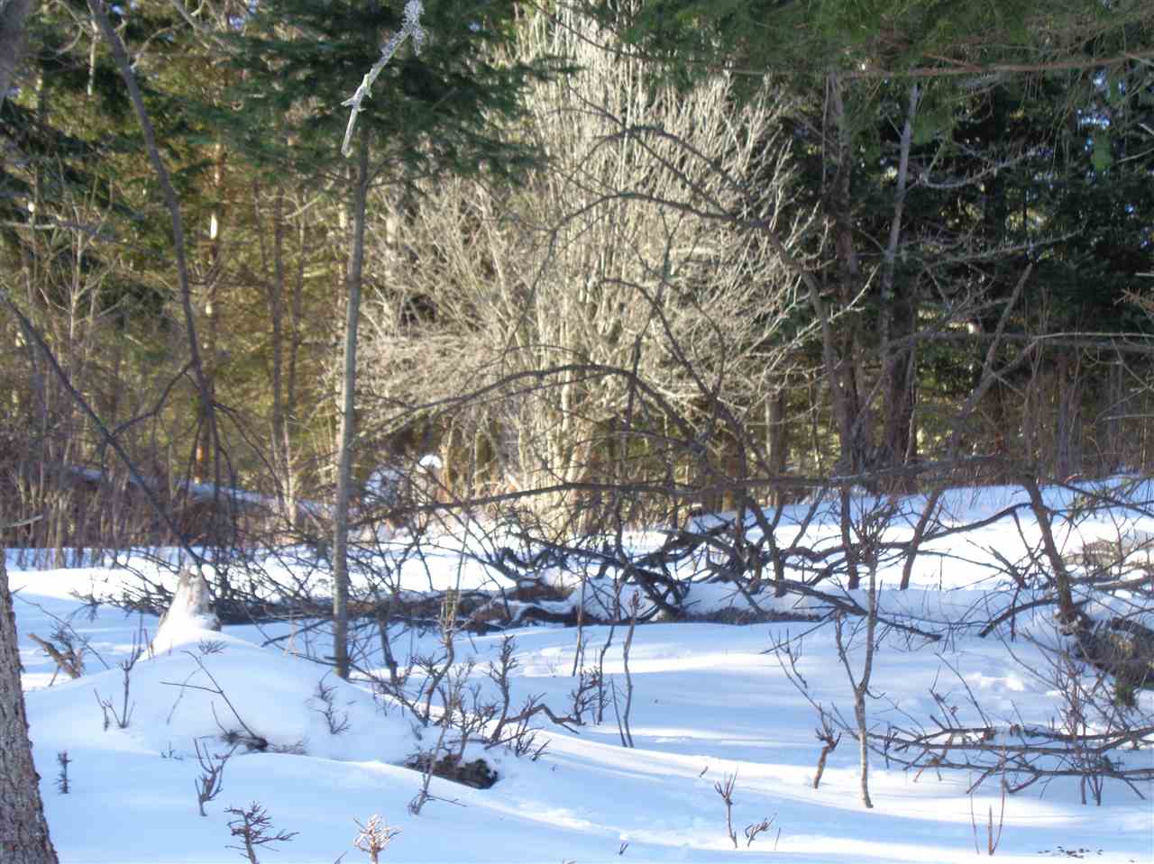 31 Joe Alger Road Pittsburg, NH 03592 - Photo 3 of 13