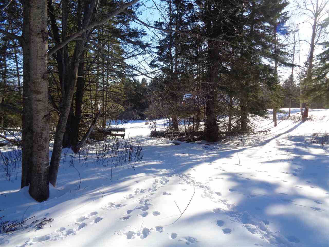 31 Joe Alger Road Pittsburg, NH 03592 - Photo 5 of 13