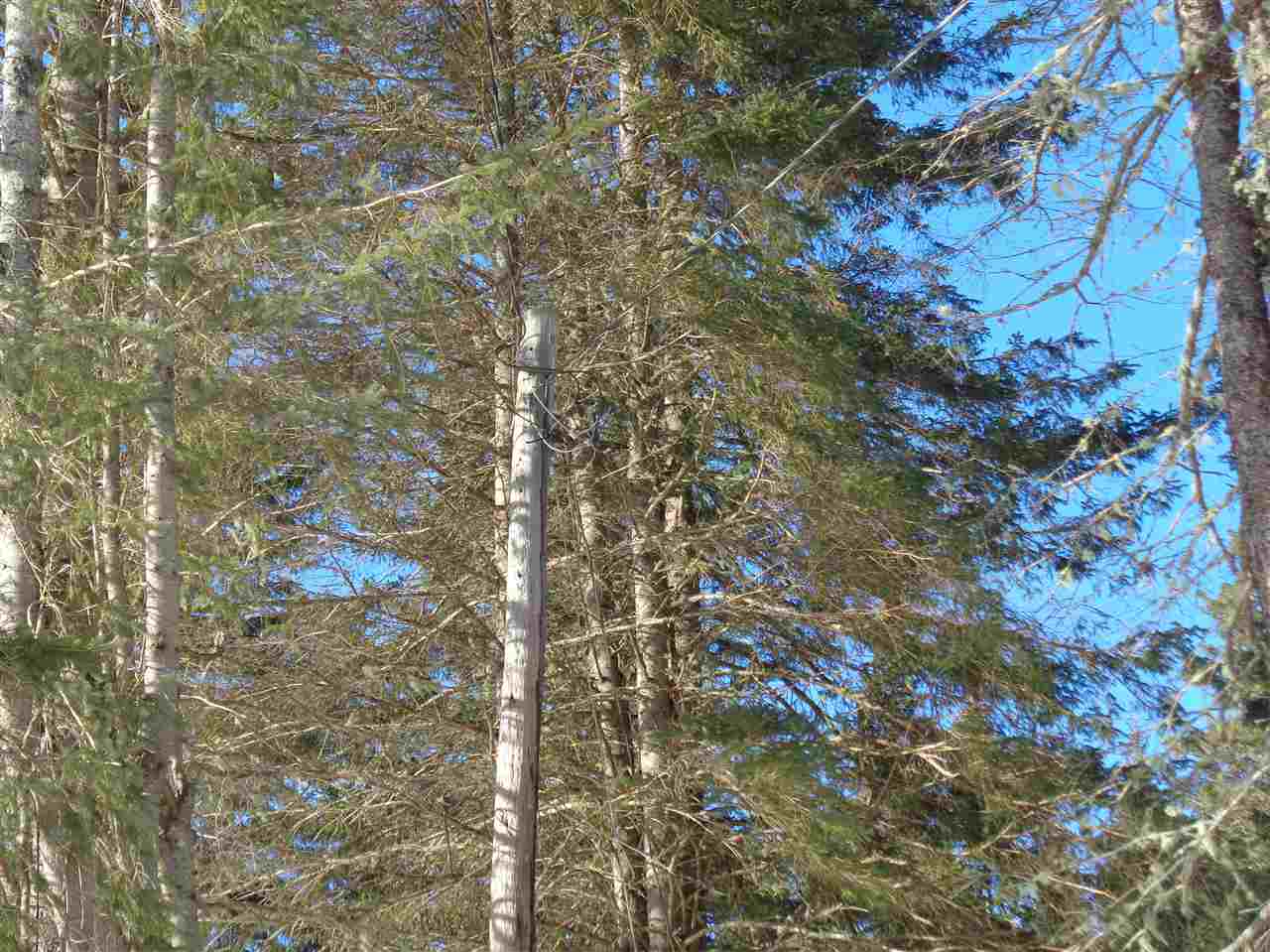 31 Joe Alger Road Pittsburg, NH 03592 - Photo 8 of 13