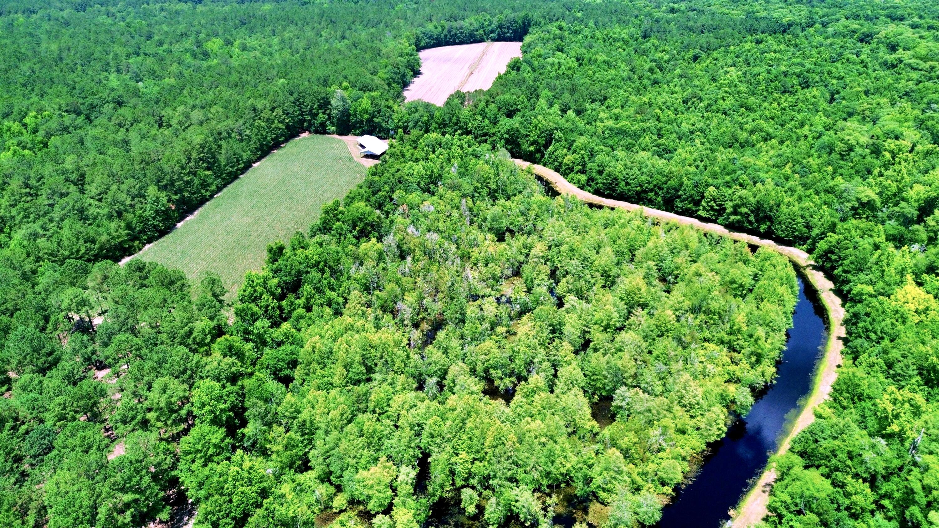 1970 Cross Swamp Road Islandton, SC 29929 - Photo 115 of 150