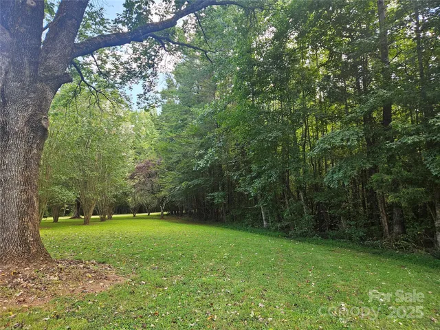 a view of a garden with a tree
