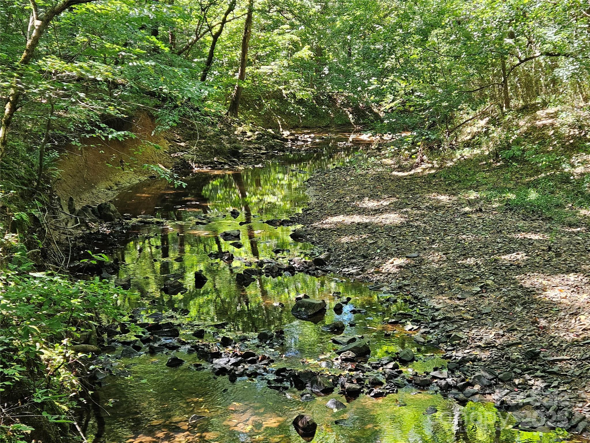 10670 Troutman Road Midland, NC 28107 - Photo 37 of 38 a backyard of a house with lots of plants