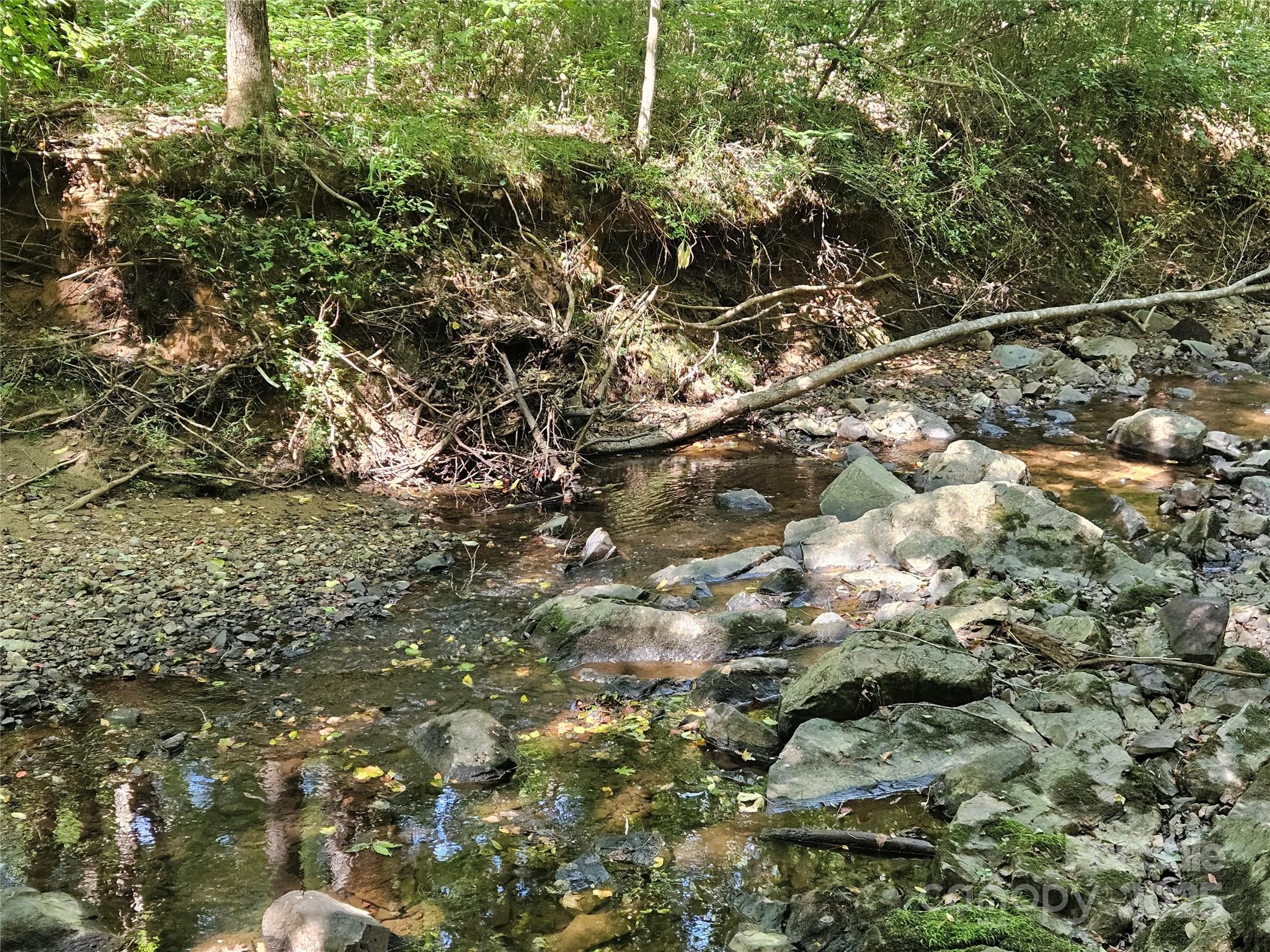 10670 Troutman Road Midland, NC 28107 - Photo 38 of 38 a view of a tree