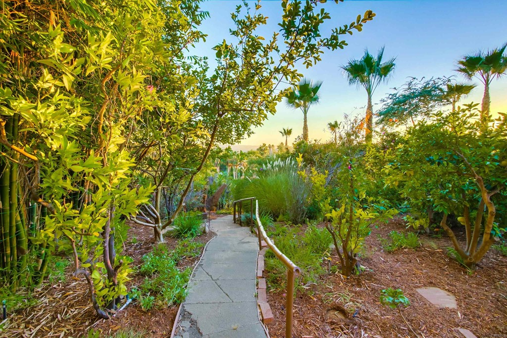 1256 Rancho Encinitas Drive Encinitas, CA 92024 - Photo 19 of 28 a view of a garden with plants