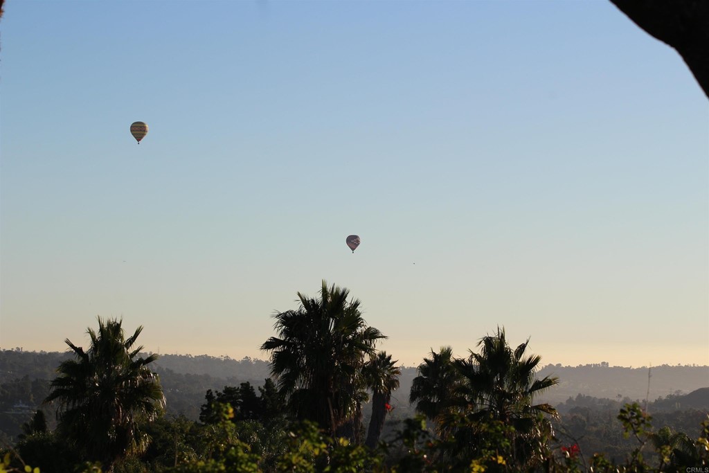 1256 Rancho Encinitas Drive Encinitas, CA 92024 - Photo 22 of 28 a view of a terrace