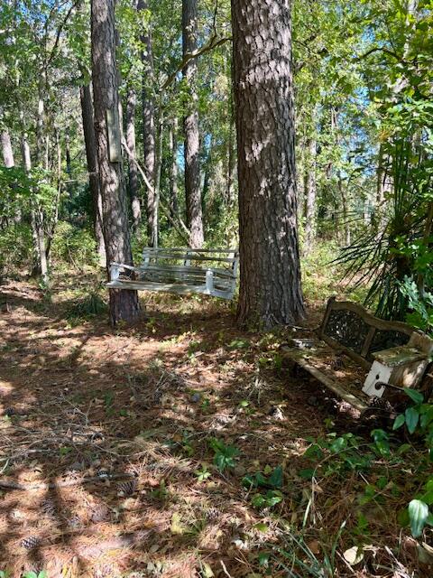 186 Mcmillan Road Cordova, SC 29039 - Photo 64 of 68 Woods