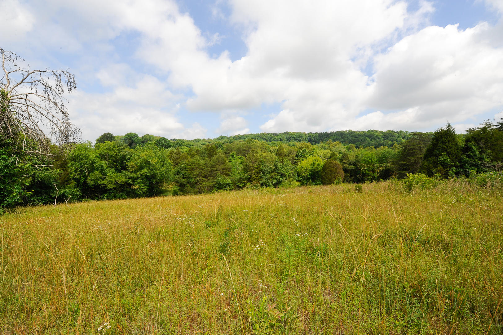 427 Roddy Branch Road Rockford, TN 37853 - Photo 22 of 37 _DSC4479
