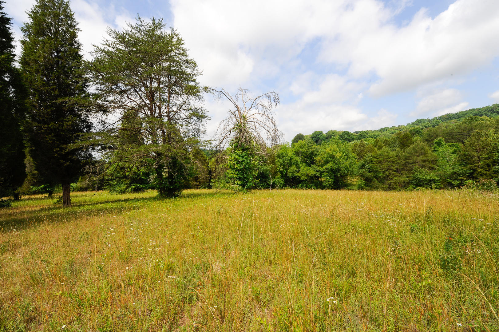 427 Roddy Branch Road Rockford, TN 37853 - Photo 23 of 37 _DSC4480