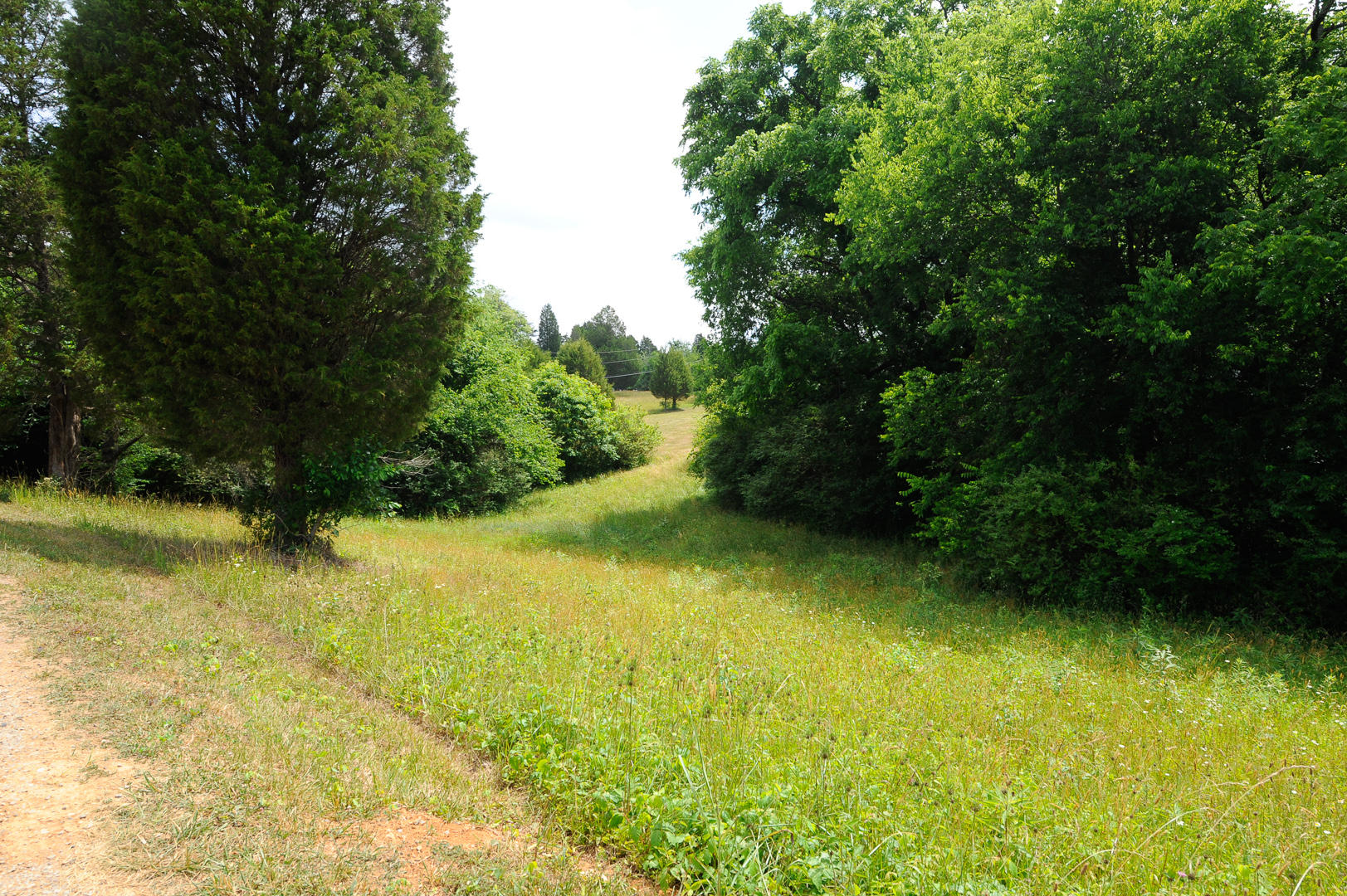427 Roddy Branch Road Rockford, TN 37853 - Photo 36 of 37 _DSC4517
