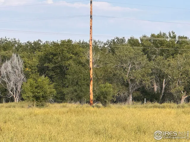 a view of a yard with a pole