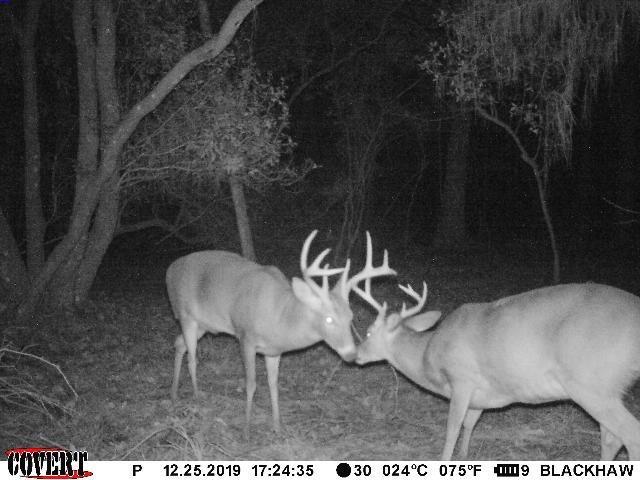 Undisclosed Address Samson, AL 36477 - Photo 1 of 39