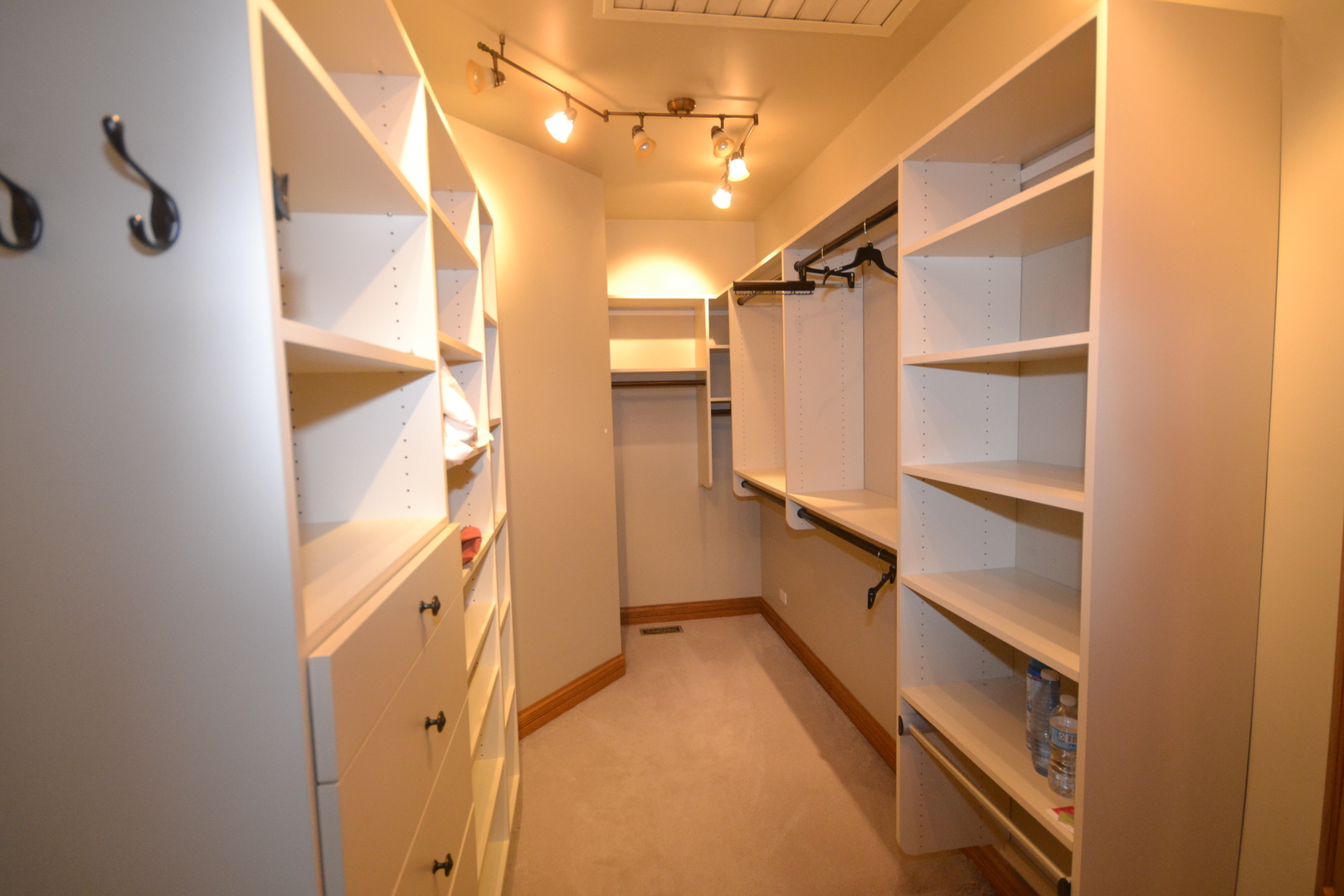9N313 Muirhead Road Elgin, IL 60124 - Photo 28 of 61 a view of walk in closet